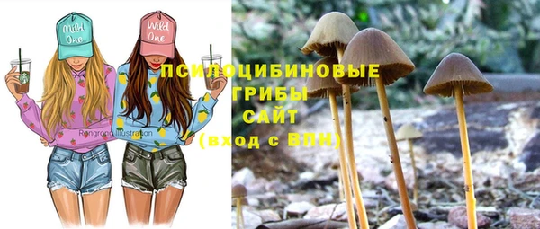 кокаин премиум Белокуриха