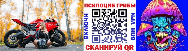 где купить наркоту  Вятские Поляны  Галлюциногенные грибы Magic Shrooms 