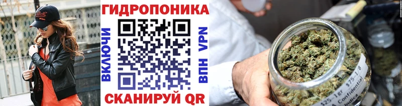 shop какой сайт  Вятские Поляны  Конопля конопля  даркнет сайт  omg маркетплейс 